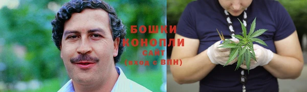 дживик Осташков