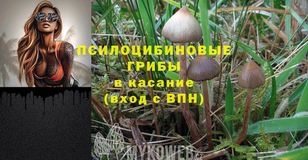таблы Армянск