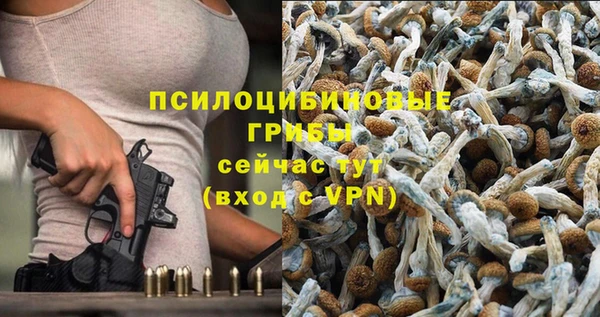 таблы Армянск
