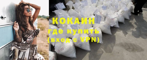 твердый Аркадак