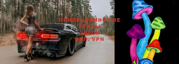 прущие крисы Арсеньев